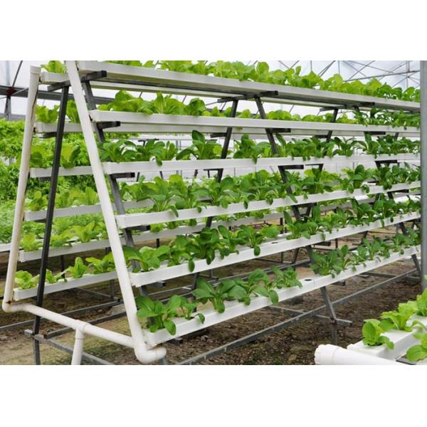 Seed Breeding Photovoltaic Power System PC Sheet Cover Material 8 - 12 M Span