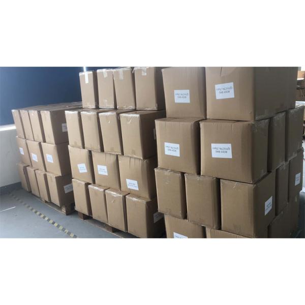 Disposable Coffin Funeral Dead Body Bag With 200kg Load Weight