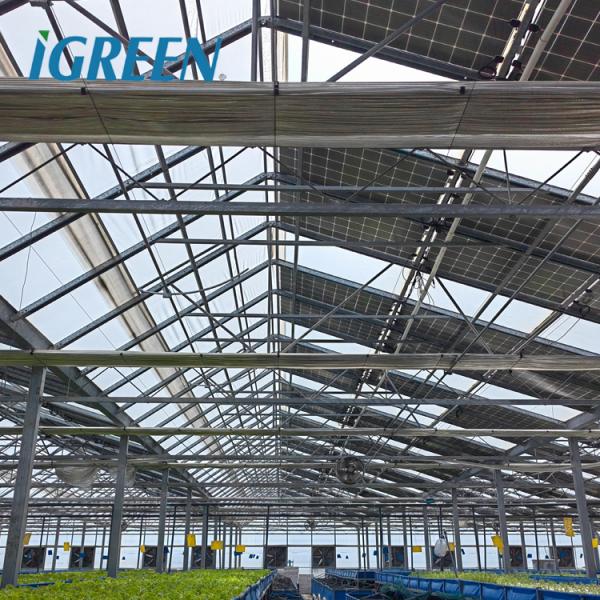 Solar Gray Polycarbonate Sheet Greenhouse For Aquaponics Farming System