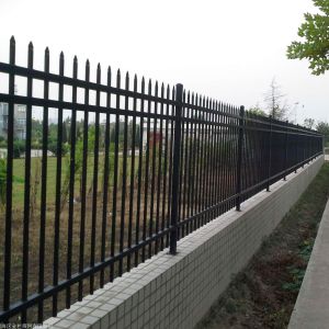 Outdoor Ornamental Residential Metal Privacy Fence Panels New Design Galvanized