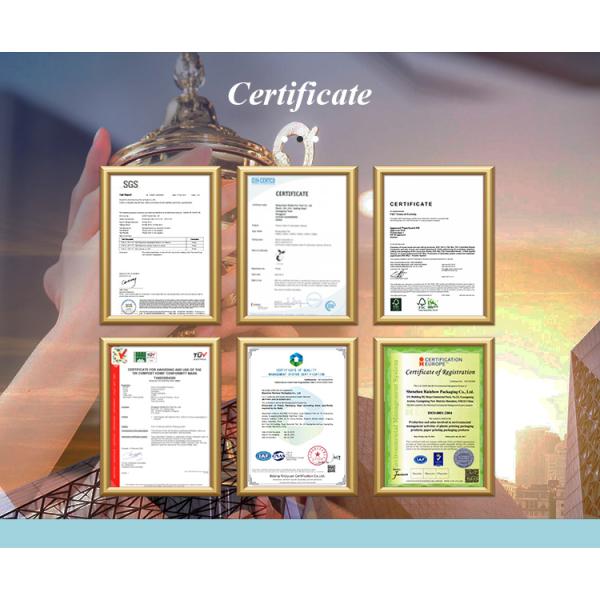 Custom Printed Plastic Dry Fruits Packing Bags Stand Up For Mango Banana Chips