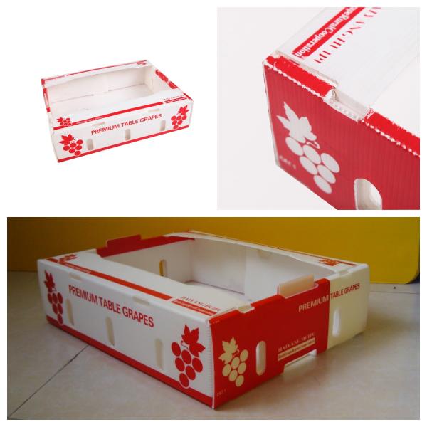 Corflute Fresh Produce Cardboard Boxes Coroplast Kiwi Fruit Packing Box