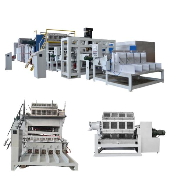 Recyclable Paper Pulp Moulding Machine Big Capacity 1500pcs/h-6000pcs/h Egg Tray Machine Egg Carton Production Line