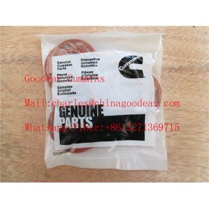 Quality Chongqing k38/k50 diesel engine o ring 216187 in stock for sale