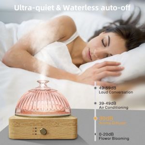 Solid Wood Glass Aroma Diffuser▕ DN-839