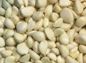 Quality Snow White IQF Frozen Vegetables / Quick Freezing Fresh Garlic Cloves for sale