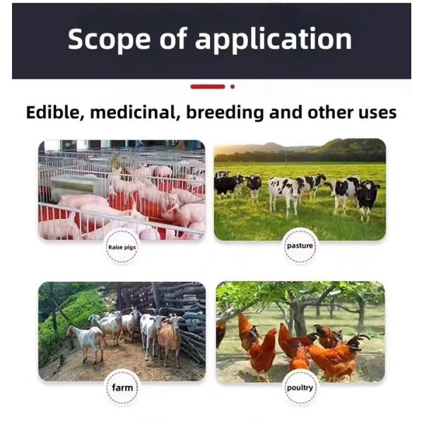 Small Maize Grinding Hammer Mill Feed Hammer Mills Small Poultry Feed Hammer Crusher