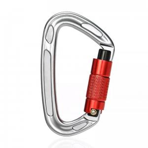 Quality Sale Polished Aluminum Alloy Dog Leash with Precision Casting Screwgate Carabiner for sale