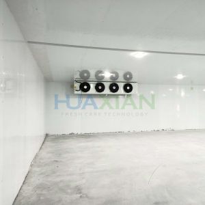 Quality 500 Sqm China Industrial Food Storage Walk in Freezer Refrigeration Room for sale