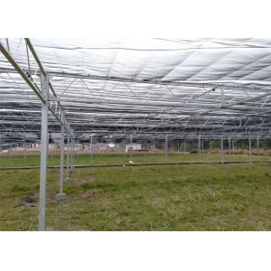 Customized Design Plastic Film Greenhouse , Lettuces Multi Tunnel Greenhouse