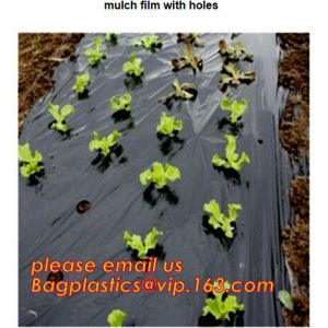 plastic tomatoes home garden polytunnel greenhouse film,Film Covering Tomato