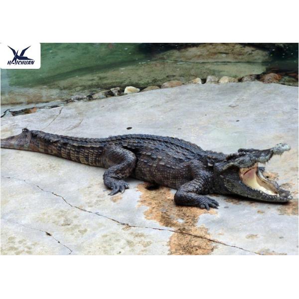 Water Park Simulation Life Size Animatronic Animal Realistic Crocodile Models