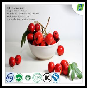 Quality hawthorne leaf p.e supplier for sale