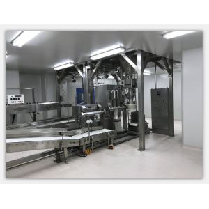 Quality Weighing 25Kg Bagging Scale Equipment Weighing Package Machine for sale