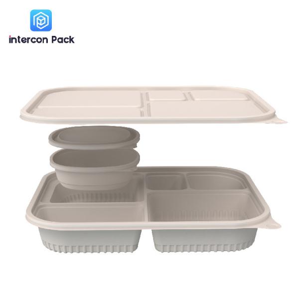 5 Compartment Bagasse Takeaway Boxes Disposable Food Container