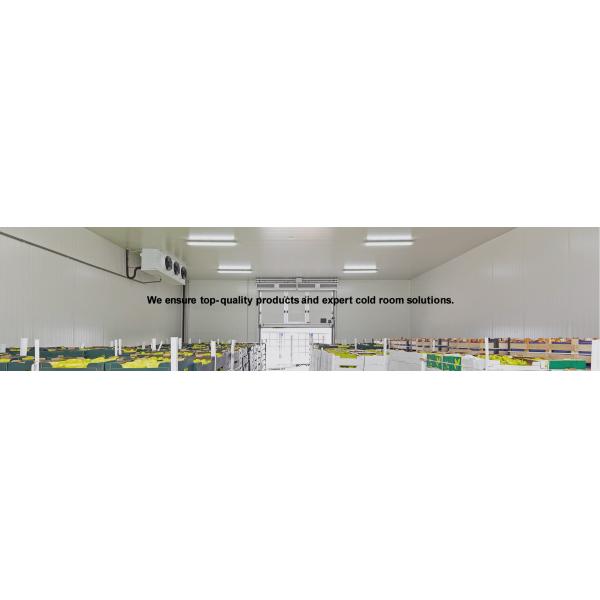 Corrugated Steel Plate Roofing Walk-in Deep Freezer Cold Room for Seafood Storage