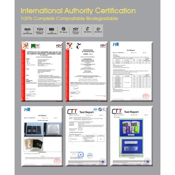 Custom Printed Mylay Smell Proof backpack boys Double Zipper Plastic Child proof Resistant Weed Packing Bags