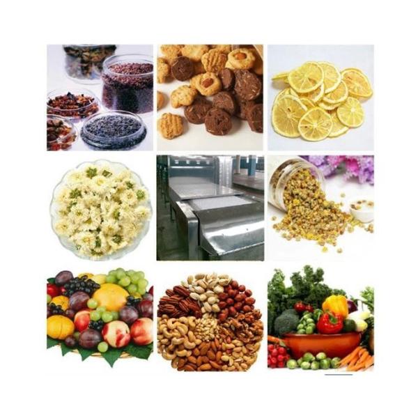 Peanut Dried Fruit Microwave Sterilization Machine ISO9001 Approved