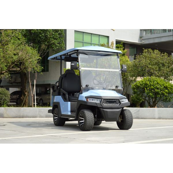 2 4 6 Seat Electric Lithium Battery Sightseeing Golf Cart Golf Buggy Car with DOT Comfortable and Spacious