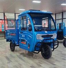 Quality 1500W Open Electric Cargo Trike Electric Cargo Motorcycle for sale