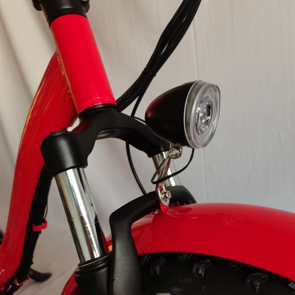 Beach Cruiser Electric Folding Fat Tire Bike Battery Cycle Fat Tyre Ebikes