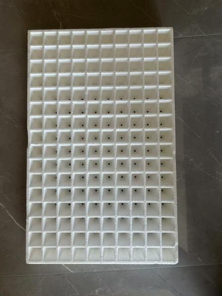 Buy Foam seedling tray tray Vegetable seedling tray hydroponic tray tray White foam traypepper seedling tray wholesale floating foam board water planting seedling tray thickened fruit and vegetable pepper at wholesale prices