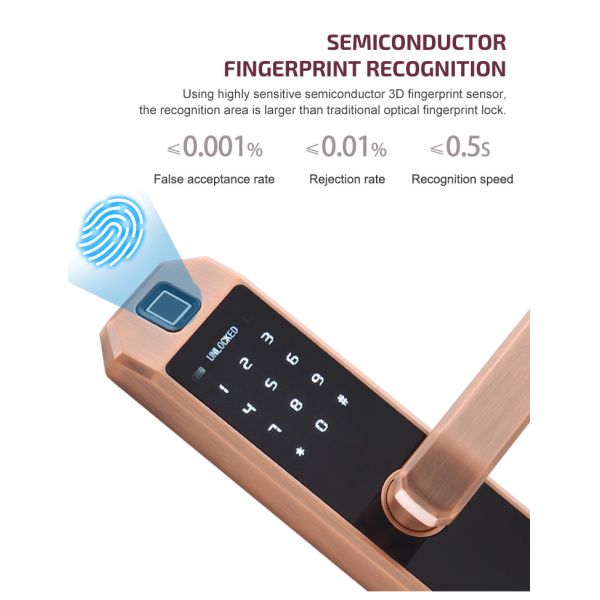 Keyless Entry Smart Wifi Door Lock Keypad APP Control IC Card Wifi Connected Door Lock