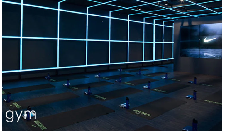 Led flexible strip light 220V SMD2835 double row 156leds/m led strip three row 180leds per meter led strip light/led lig