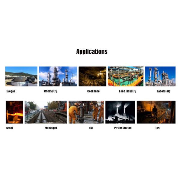 Wall Mount Type Fixed Combustible Gas Detector 2000ppm For Various Environments