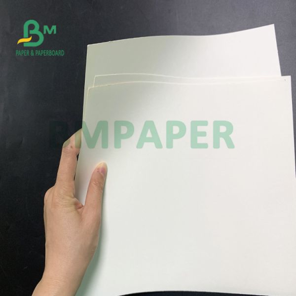 180gsm + 15gsm Single Side PE Coated Cup Paper Good Malleability Single Side PE Coated Cup Paper 180gsm + 15gsm With Good Malleability