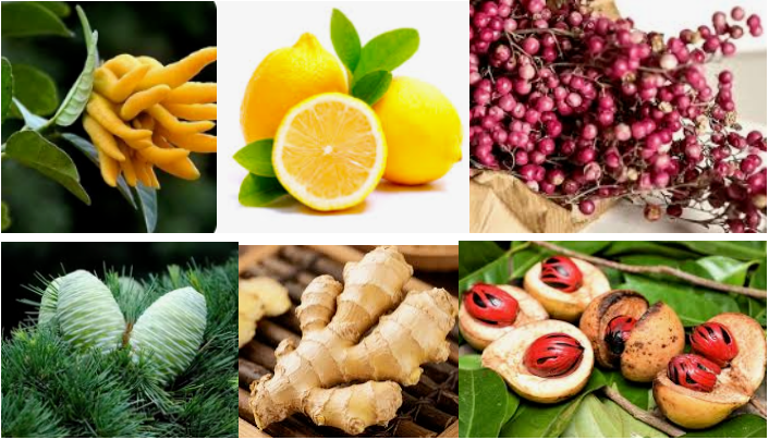 Concentrated Perfume Oil Fragrance For Perfume Making Fast Delivery