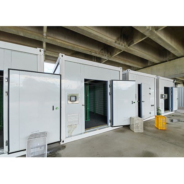 Mushroom Growing Multi Layer Greenhouse Insulation Board Mushroom Growing Kit