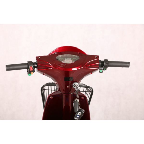 18" x 2.5 Tire Pedal Assist Electric Bike , Bicycle With Motor Assisted Pedal Power