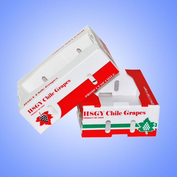 Recyclable Corrugated Plastic Storage Boxes Corflute Storage Boxes