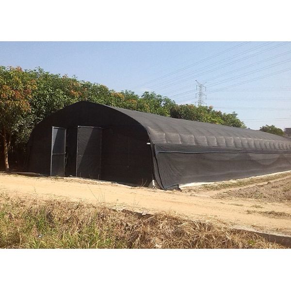 Economical Easy Install Plastic Polytunnel Greenhouse For Edible Mushroom Cultivation