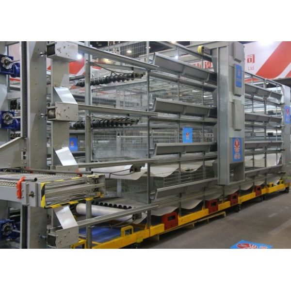 High Efficient Automatic Egg Collection System Harvest Conveyor System