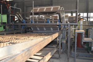 China Rotary Type Paper Egg Tray Production Line Big Capacity 1500-5000pcs/h on sale