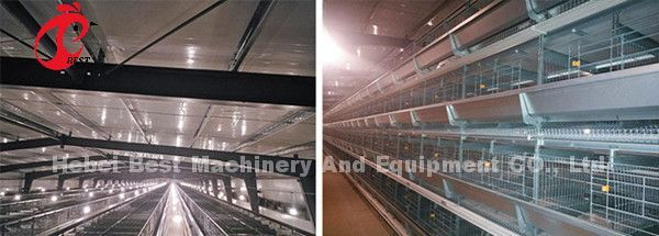 A H Type Adult Commercial Chicken Battery Cages For Laying Hens Star