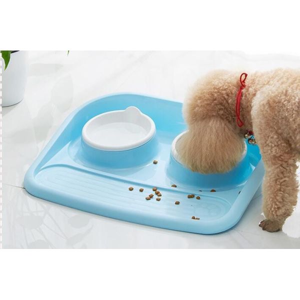 dog bowl plastic feeder pet cat food collapsible dog bowl silicone foldable dog food bowl portable travel pet water bowl