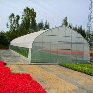 Quality Polythene PE Film Greenhouse Muitl Span Strong Applicability 200 Microns for sale