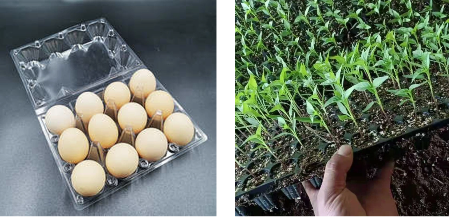 MINGDI Automatic Control Extruder Machine PET PLA PP PS Sheet Film Extrusion Line