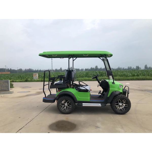 4KW Motor 48V 150AH Lithium Ion Battery 2+2 Seater Golf Cart Personal Customized