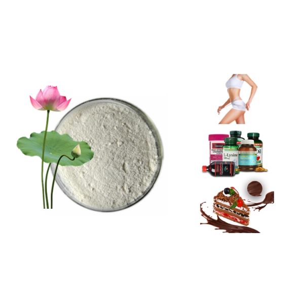 Lotus Leaf Herbal Extract Powder 10% 50% 98% For Dieting Weight Control