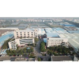 Guangdong Dadi Weiye Packing Industrial Co., Ltd.