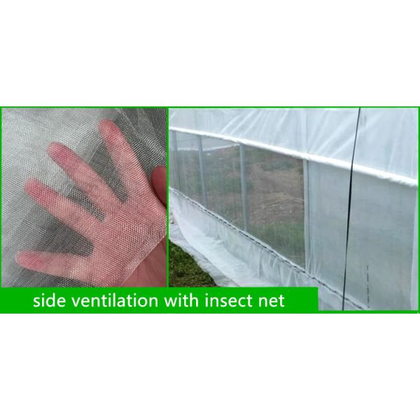 Single Span Greenhouse Simple Frame Poly Tunnel Film Greenhouse For Agricultural