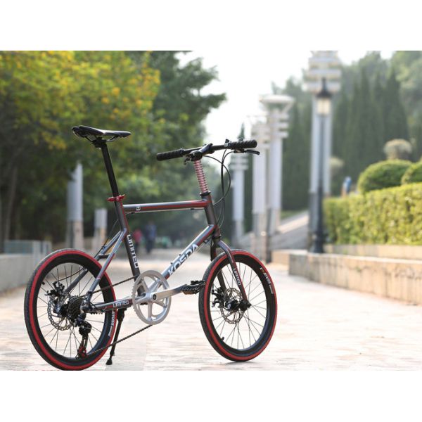 Small Aluminum 20 Inch Wheel 7 Speed Road Bike