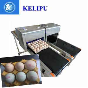 Quality Computer Control Date Coding Printer With Special Shuttle Transmission Device for sale