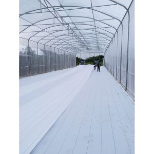 150 Micron Single Span Greenhouse Plastic Film Greenhouse Natural Ventilation