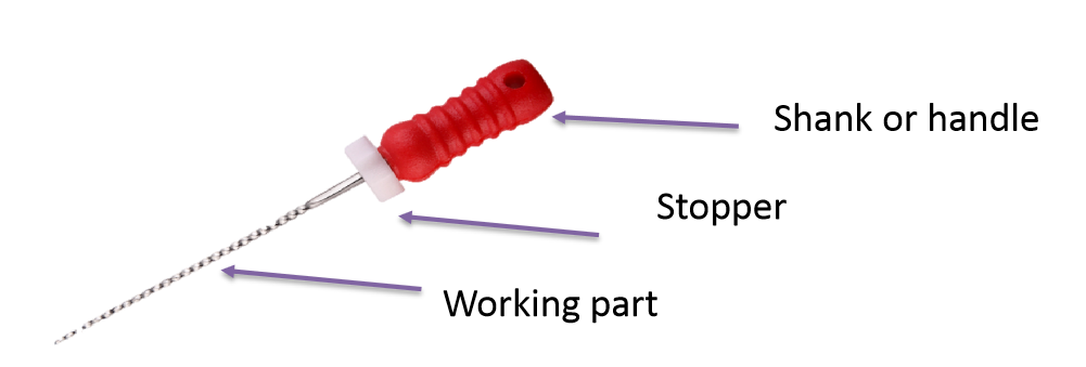 25mm 28mm Root Canal NiTi K Files Hand Use Endodontic Files
