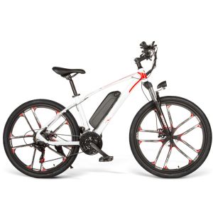 China 21Speed Electric Pedal Assist Mountain Bike 35-70km Mileage Nonfolding on sale